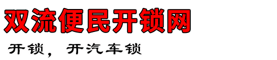 ˫